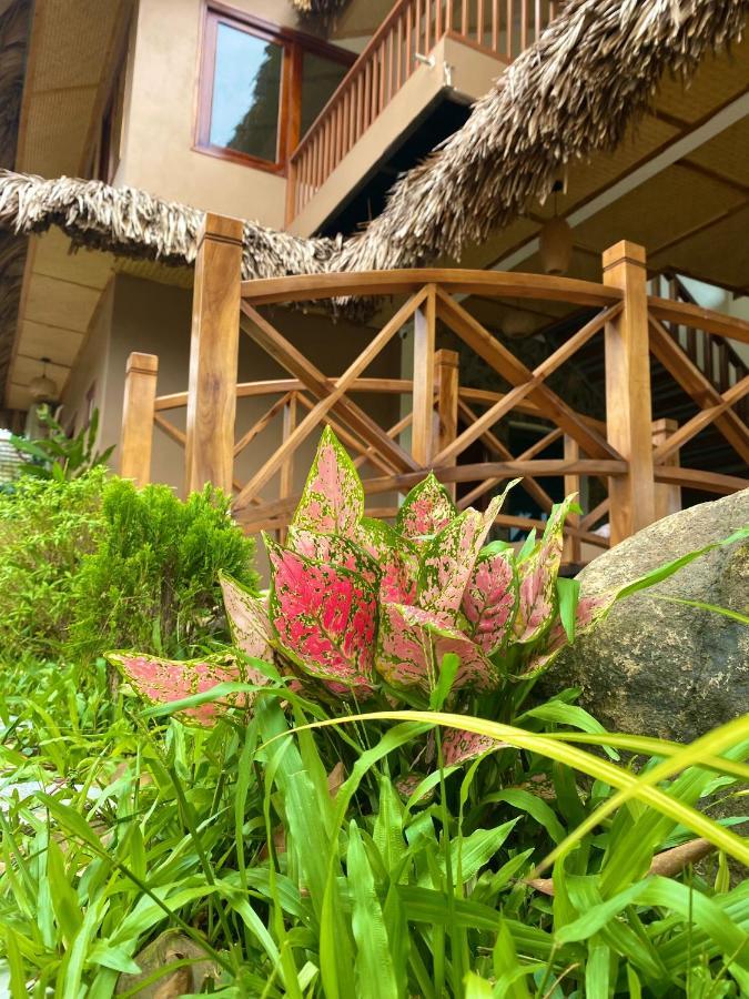 Lemon Tree Homestay Tam Coc Ninh Binh Exteriér fotografie