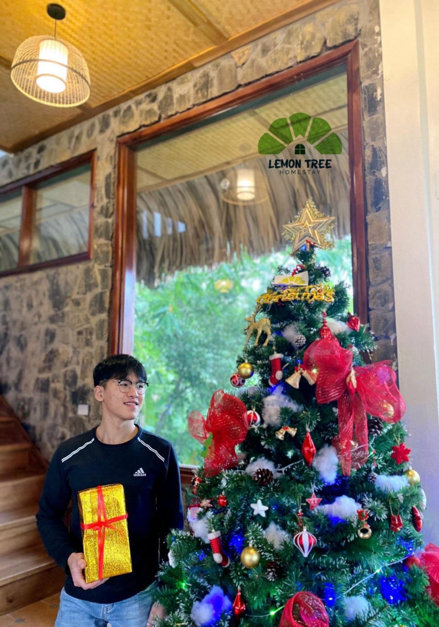 Lemon Tree Homestay Tam Coc Ninh Binh Exteriér fotografie