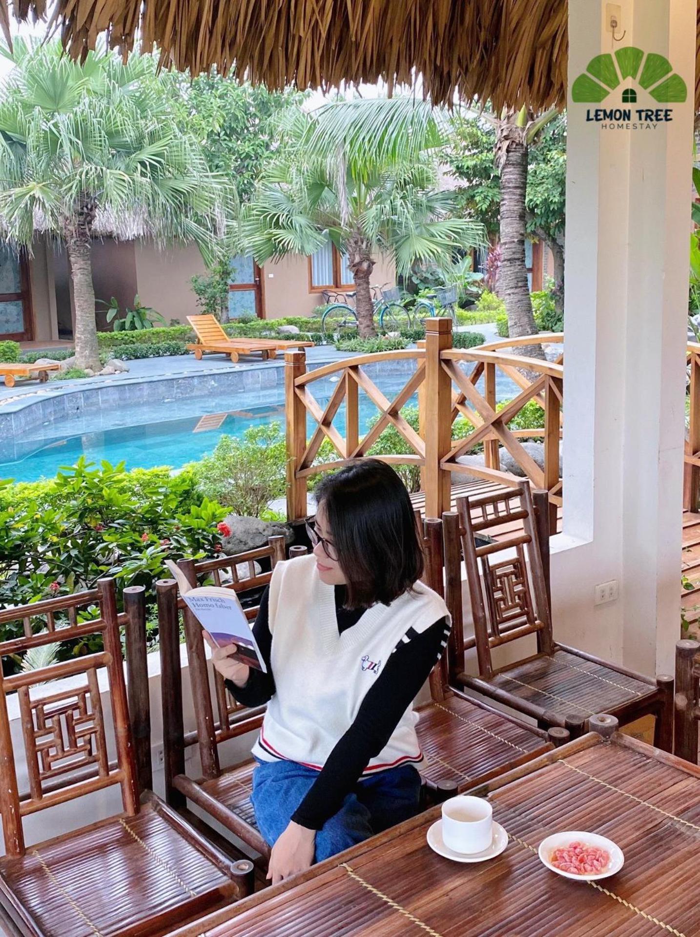 Lemon Tree Homestay Tam Coc Ninh Binh Exteriér fotografie
