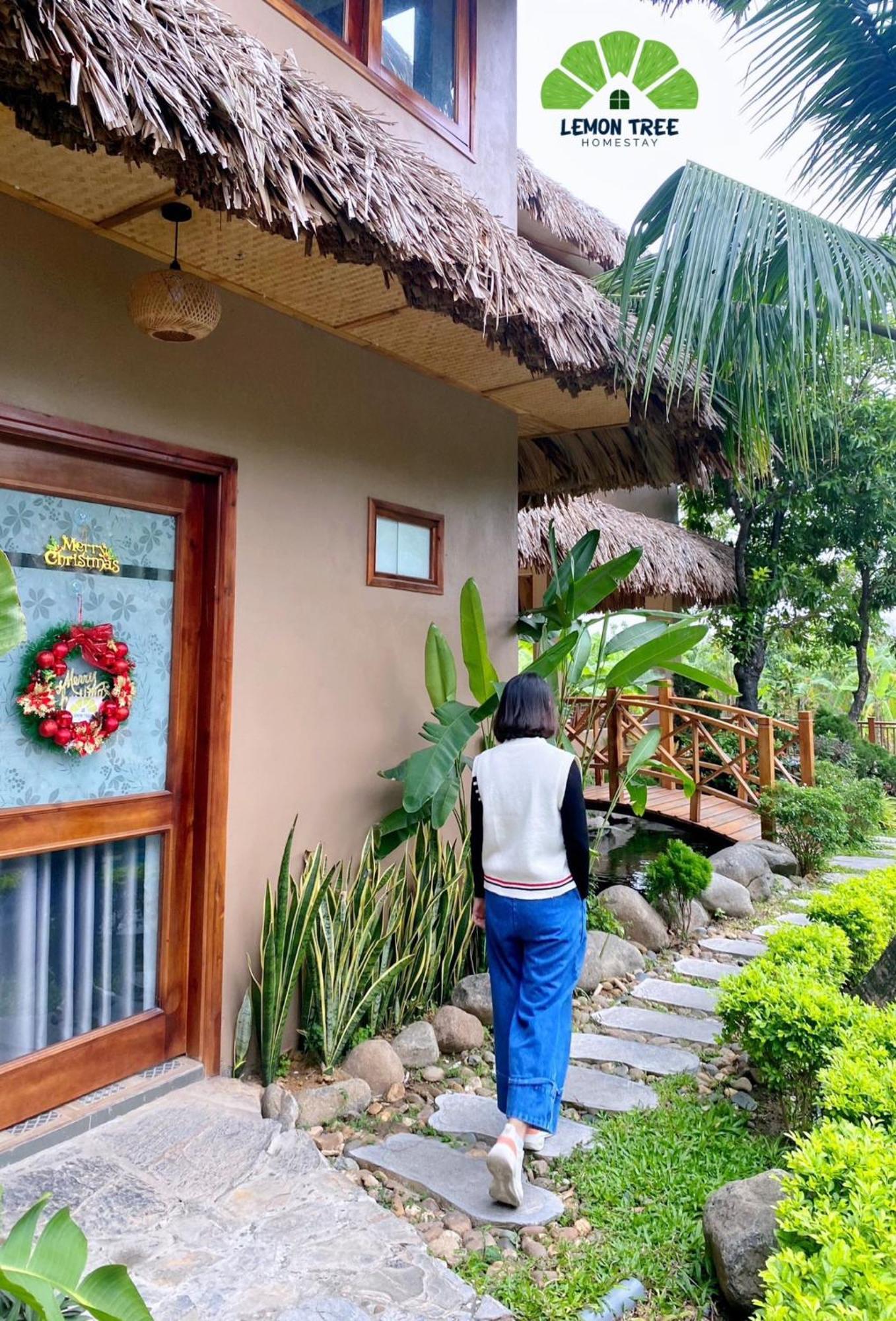 Lemon Tree Homestay Tam Coc Ninh Binh Exteriér fotografie