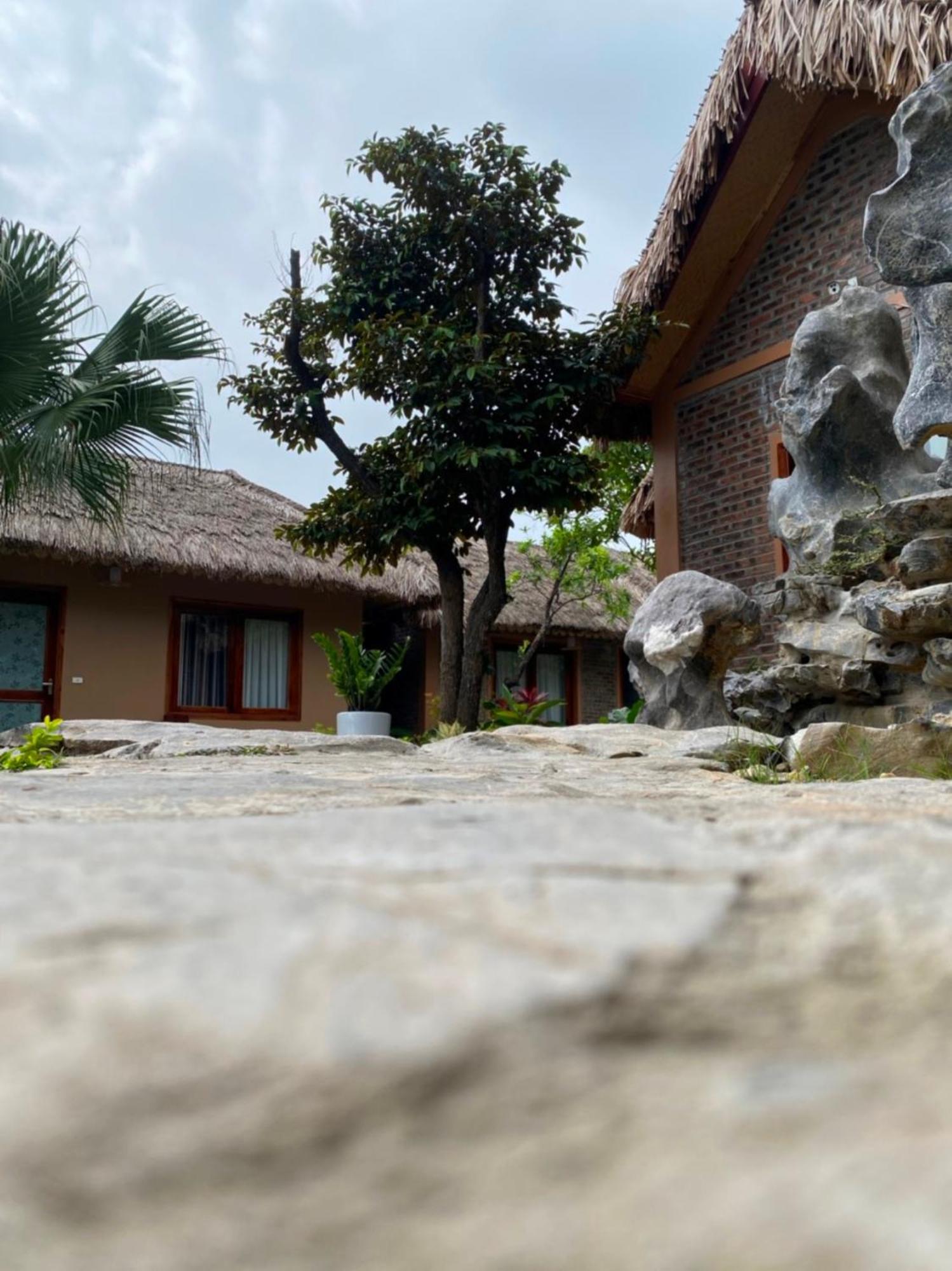 Lemon Tree Homestay Tam Coc Ninh Binh Exteriér fotografie