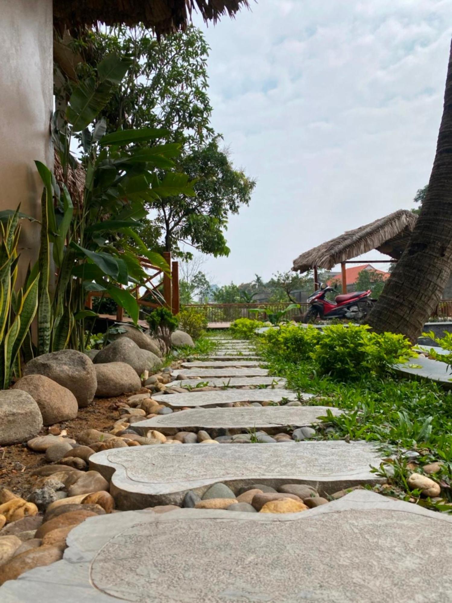 Lemon Tree Homestay Tam Coc Ninh Binh Exteriér fotografie
