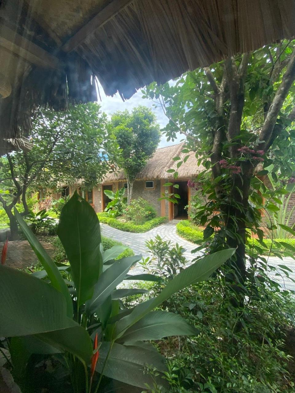Lemon Tree Homestay Tam Coc Ninh Binh Exteriér fotografie
